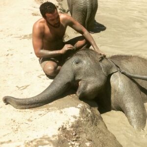 O-T Fagbenle Instagram - Had an amazing time with pops at the #elephantjunglesanctuary #thailand... there were once 100K elephants in Thailand... now there are 30K in the whole of Asia.. #protecttheelephants