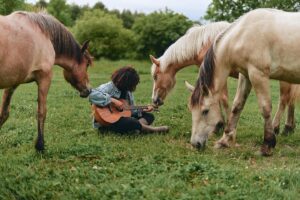 Odreii Instagram - I met these 3 beautiful horses at a farm in Ontario with quite a story. 

They were on their way to Japan to be served on silver platers 🔪

Luckily for them, a farm owner, whom I had the honour of meeting, saved them right on time so they could live in his animal sanctuary. These 3 studs are young, fearless, curious, and most importantly, they love my acoustic music 🙃

📸 @anajovmirphoto 

#farmlife