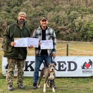 Ogün Kaptanoğlu Instagram - Daha dün bir hayata, bir nefese dokunabildiysem bu seninle karşılaşmamız sayesinde oldu kızım.
Fox, Uluslararası Arama Kurtarma Köpek'leri sınavına giden yolda ilk sınavını, SKS (Sosyal Köpek Sınavı) başarıyla tamamladı. Bu süreç travmatik köpeklerin yardım alması ve toparlanması için önemli. Deprem bölgesinde omuz omuza mücadele ettiğimiz, değerli hocalarım @goktan_eker ve @_brk_akin_ sayesinde, Fox artık yeni hayatına başlıyor. Yasaklı ırk diye fişlenip, ayrımcılık görmelerine, barınaklar da 4 metrekare de, dışarı çıkması yasaklanan ve ölüme terk edilen bu canların yaşam haklarını sonuna kadar savunucusu olacağız. Neler başarabileceğimizi biliyoruz.

@kopekirklarifederasyonu @kopedturkiye #kopekirklarivekinolojifederasyonu #aramakurtarmaköpeği #köpekeğitmenleriderneği #kokutakibi #searchandrescudog #mantrailing #americanstaff #fox #k9