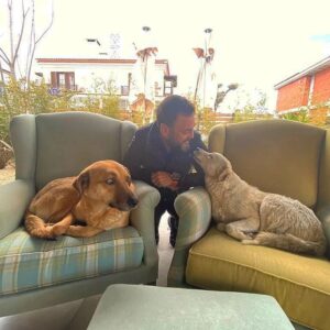Ogün Kaptanoğlu Instagram - Mekanın sahibi canlar, biz misafiriz. Tüm mekanlarımız böyle olsun, teşekkürler @sailorshacimemis