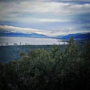 Ogün Kaptanoğlu Instagram - Yani öylesine ciddiye alacaksın ki yaşamayı, yetmişinde bile mesela, zeytin dikeceksin.
Nazım Hikmet Ran

Yeni, güzel başlangıçlar, yeni manzaramız ve zeytinlerimiz🌿