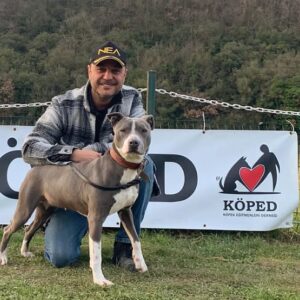 Ogün Kaptanoğlu Instagram - Daha dün bir hayata, bir nefese dokunabildiysem bu seninle karşılaşmamız sayesinde oldu kızım.
Fox, Uluslararası Arama Kurtarma Köpek'leri sınavına giden yolda ilk sınavını, SKS (Sosyal Köpek Sınavı) başarıyla tamamladı. Bu süreç travmatik köpeklerin yardım alması ve toparlanması için önemli. Deprem bölgesinde omuz omuza mücadele ettiğimiz, değerli hocalarım @goktan_eker ve @_brk_akin_ sayesinde, Fox artık yeni hayatına başlıyor. Yasaklı ırk diye fişlenip, ayrımcılık görmelerine, barınaklar da 4 metrekare de, dışarı çıkması yasaklanan ve ölüme terk edilen bu canların yaşam haklarını sonuna kadar savunucusu olacağız. Neler başarabileceğimizi biliyoruz.

@kopekirklarifederasyonu @kopedturkiye #kopekirklarivekinolojifederasyonu #aramakurtarmaköpeği #köpekeğitmenleriderneği #kokutakibi #searchandrescudog #mantrailing #americanstaff #fox #k9