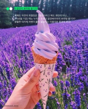 Oh Jung-yeon Instagram - 날이 좋아서, 날이 좋지 않아서, 날이 적당해서 모든것이 좋은 바이크 투어가 있다🏍

지난 6월 20일~24일 4박 5일간 진행된 ”세상에 없던 여행“ 
독보적 매력의 만능테이너 오정연과 함께 떠나는 북해도 바이크 투어, 이름하여 <OH, RIGHT투어>가 성황리에 종료되었습니다.👍🏻

간발의 차이로 1기 선착순에 들지 못한 분들의 아쉬운 탄성도 많았는데 , 운좋게 1기 신청에 성공하여 다녀오신분들은 도대체가 얼마나 좋았으면 투어 후 한국으로 돌아와서도 매일같이 정모를 하는 그야말로 바이크 공동체가 되었다는 후문👀

바이크 1도 못타는 필자 에디터도 오라잇투어 1기 참여자분들의 사진과 영상 감상만으로도 부릉부릉 바이크 시동걸뻔한 사연과 함께 열띤 호응덕분에 계획보다 너무 빠르게 <OH,RIGHT투어> 2기가 오픈되었다는 소식을 전해드려요!

✈️again! <OH,RIGHT투어> : 오정연과 함께하는 바이크 투어 2기
여행지역 : 일본 북해도 중부 • 서부
여행기간 : 2024년 7월 26일 (금) ~ 7월 29일 (월) 3박4일
모집인원 : 선착순 14명 마감
*본 여행은 <2종 소형 면허> 소지자만 신청하실 수 있습니다.
*안전한 라이딩을 위해 만 29세~만 60세까지만 참여 가능합니다.
*자세한 내용은 하단의 링크를 참조해주세요.
📎https://wetravel.co.kr/shop_view/?idx=107

@1기끝나고열흘도안되서2기오픈실화냐구욧
-
📷 @photorider_korea @jungyeon.oh @wetravel_insta
✒️ edit by. ZAT