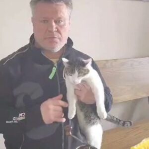 Oleg Taktarov Instagram - Не надо ничего чистить. Ваш организм способен справиться сам. Лучшее это не мешать. А если уж хотите помочь, то посмотрите это видео.