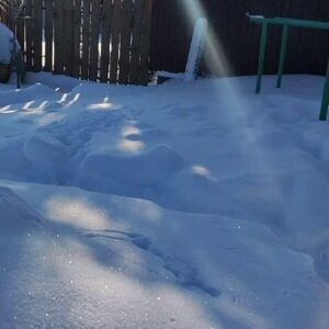 Oleg Taktarov Instagram - Солнце в Сарове
-13
Просто радуюсь солнцу. Вчера футбол был на солнце (-12) даже лицо загорело. Что-то в этом есть- Провести зиму дома и не ездить в тропики .
По-другому ощущаешь приход весны. 💥