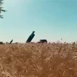 Oleksandr Ponomarov Instagram - Рідні землі , українські зорі 
Були й будуть тут споконвіків! 
З Днем Соборності !❤️