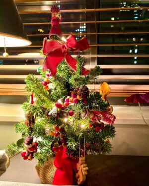 Olga Merediz Instagram - Happy Holidays from the Rockefeller tree to my little trees. Sending you my love, please stay warm and take good care of yourselves! 
Feliz Navidad y próspero año!
Joyeux Noël et bonne année à tous!