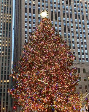 Olga Merediz Instagram - Happy Holidays from the Rockefeller tree to my little trees. Sending you my love, please stay warm and take good care of yourselves! 
Feliz Navidad y próspero año!
Joyeux Noël et bonne année à tous!