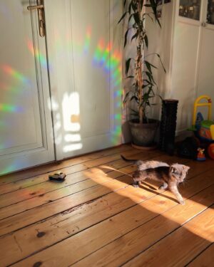Olga Plojhar Bursíková Instagram - Duho, vítej! 🌈
