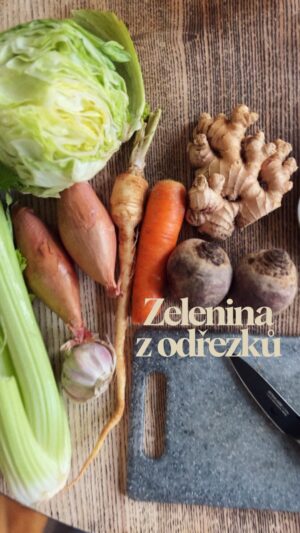 Olga Plojhar Bursíková Instagram - K tomuhle zahradničení nepotřebujete zahradu ani velký byt, stačí jen voda a pár mističek.
Pěstování zeleniny ze zbytků je moje radost už spoustu let. Během roku se mi parapet pořád proměňuje a občas pak pěkně zakořeněnou zeleninu přendám z vody do půdy, aby rostla dál. Do vody odstraňte spodní lístky, aby se nedotýkaly vody a nehnily v ní. 🌱

Nejradši nechávám dorůstat nať petržele (do těstovin, polévek, salátů apod.), pór a jarní cibulku (roste rychle a hodí se všude) nebo zelí pro ty křupavé mladé lístky. Jinak jdou taky lístky červené řepy, fenyklu a mrkve do salátu a na zdobení, mladé listy salátů, kedluben, řapíkatého celeru a zelí na košťálu, výhonky cibule a česneku jako jemnější dochucení (tam je potřeba hodně měnit vodu, rychleji zahnívají) a čerstvé výhonky zázvoru, ten se mi ale tentokrát nepovedl. 🙈 Snad jsem na nic nezapomněla. Zkoušeli jste to už někdy? A máte případně tip na další druhy zeleniny?

#gardening #urbangardening #growyourownfood #regrowingvegetables