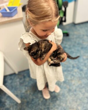 Olga Plojhar Bursíková Instagram - Nuselský nalezenec (můj rodný hood), který přistál mé nejbližší duši @magdalenabirds v ordinaci a ta mi poslala zprávu, že má někoho přesně pro nás (ano, bavili jsme se spolu o koťátku už stokrát). 🖤 Jely jsme se na ní s Lottou podívat, bude se přeci bát dětí a navíc máme Bandíka, který zná jen dospělé kočky, ne koťata. No a už je u nás. Bandík se s ní seznamuje, děti ona zbožňuje a ony zbožňují jí, zapadla. 🐾 Poslala jsem rovnou příspěvek místnímu azylu pro zvířata a v hlavě mi hrál krásný slogan “don’t shop, adopt”.

Lotta ji rovnou po cestě dala jméno, nápověda je ve fotkách, uhádnete?

Also, any tips, jak jí vysvětlit, aby se pak bála aut a cizích psů, až jí ukážeme venek? Bojím se děsně!