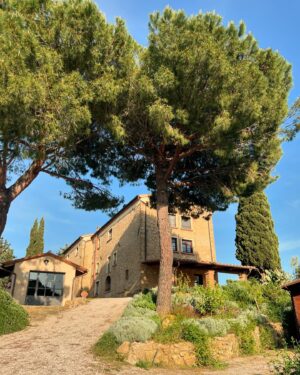 Olga Plojhar Bursíková Instagram - A Tuscan dream ☀️