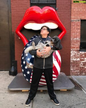 Oliver Platt Instagram - Noodle and I reminding our fellow citizens to vote this Tuesday. #werewithher