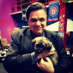 Oliver Platt Instagram - @pawschicago made our #onechicago day with these unearthly pups. C'mon now, C'MON!!