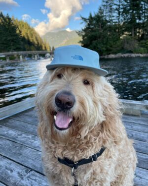 Olivia Steele-Falconer Instagram - Swipe to see a very distinguished gentleman!🧐🎩