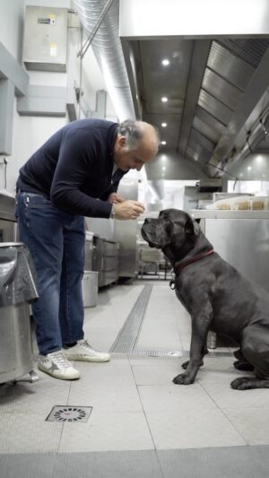 Olivier da Costa Instagram - Another lovely day with my @itsfaruk_official ! 🐾 😎

.
.
.
#chefolivier #olivierrestaurant #yakuzabyolivier 
#dogsofinstagram #ilovemydog #faruk #canecorso #canecorsoofinstagram #canecorsolife