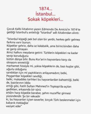 Onur Atilla Instagram - Sokak köpeklerimizin yoğun olduğu, çeteleştiği, tehdit oluşturduğu bölgeler olduğunu, çocuklar, diğer evciller, insanlar için tehlike arz ettiğini biliyoruz da onları acılı veya acısız yok etmek bu işin çaresi olamaz, kabul edemeyiz. Ülke tarihimizde bir Hayırsızada vakası daha yaşayamayız. Çaresine insan gibi bakalım, insan gibi. İnsan gibi. İnsan.