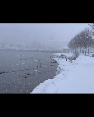 Ophélia Kolb Instagram - Aujourd’hui en salles 🎥
( je suis fan d’Anne Le Ny, je vous le dis)
(Et pendant le tournage je découvre que j’ai eu une fascination oiseaux neige)