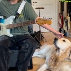 Oscar Stembridge Instagram - My dog’s favourite guitar riff… do you know it?🤘🐶 🎸 

#oscarstembridge #guitar #reels #guitarist #dog
