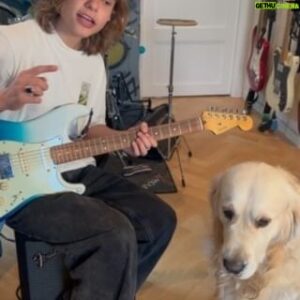 Oscar Stembridge Instagram - Teddy loves Purple Haze! Thanks @keitheash for the idea!!! 🎸🤘 #oscarstembridge #musician #singer #jimihendrix #purplehaze #reels