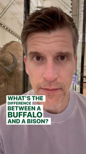 Osher Günsberg Instagram - Good morning. 
You’re welcome.