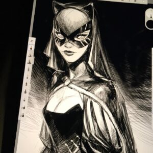 Otto Schmidt Instagram - Caturday night flight.🛩 Medieval Selina option for Harley Quinn issue. #catwoman #selinakyle #caturday