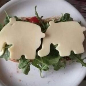 Otto Waalkes Instagram - Hallo Freundeee!
Ratet mal, was ich heute Morgen gefrühstückt habe: Käse-Ottifanten! Das Tolle: Diese kann jeder von euch ganz einfach selbst machen. Mit meiner Ottifanten Ausstechform!
Da könnt ihr sooo vieles ausstechen: Kekse, Spiegelei, Käse, Pfannkuchen, Wurst oder Brot!
Für leckeres Frühstück, Abendbrot oder zwischendurch.
Den Link zu den Förmchen findet ihr in meiner Bio.
Ich wünsch euch gutes Snäääcken!
Euer ott0