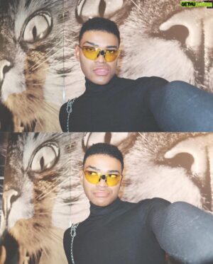 Owen Thiele Instagram - What’s your favorite animal? Come on drop a comment below ! #toryburchanimalhouse