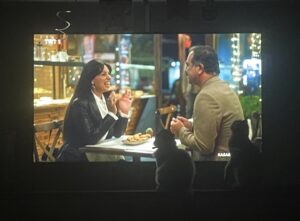 Ozan Akbaba Instagram - Özel Uluçınar Hastanesi…

Sahibi Erol Gümüşok olsa da kurucusu tanıdığım en iyi insanlardan biri, Fatih bey. 

Öncelikle size, @arcfilmyapim ‘in çok sevdiğim tüm çalışanlarına teşekkür ederim. 

32 bölüm canla başla çalışan ekip arkadaşlarıma ve tabi ki tüm rol arkadaşlarıma teşekkür ederim.

İyi iş çıkardık ama her şeyden önemlisi iyi anlaştık, güldük, eğlendik, üzüldük ama hep güzel çalıştık. 

Sinan abilerim, biricik Vildan, Hazal, Deniz, Barış Kankalarım, Özgün, Fatih, Yakışıklı kardeşim Tarık, Didem, Sultan ve elbette baba adam Alptekin abi. Çok özleneceksiniz. 

Herkesi ayrı ayrı güzelliklerle hatırlamak benim için unutulmaz bir kazanım oldu. Sağolun varolun. 

#KasabaDoktoru’na İlk bölümden son bölüme kadar kimin eli değdiyse eline emeğine sağlık. Geleceğimiz parlak olsun.