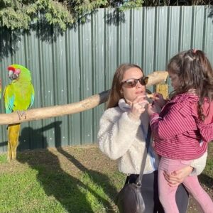 Özge Sezince Varley Instagram - Tropical Birdland 🦜 

#tropicalbirdland #tropicalbirds #englishlife #lifeinuk #familytime #familylife #familylove