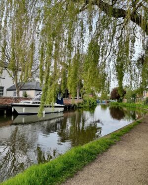 Özge Sezince Varley Instagram - A walk along the canal. 🌼 #englishlife #england #lifeinuk #canals #lifeinengland #canalsofengland