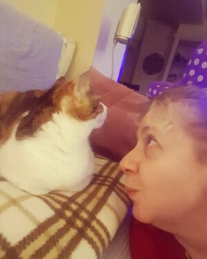 Özlem Çakar Instagram - Seviyorum💜
#satinalmasahiplen #1kapsu1kapmama #catsofinstagram #catlovers