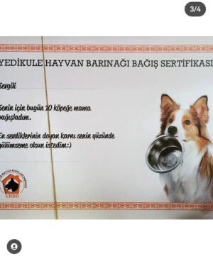Özlem Ulukan Instagram - 💖DOĞUMGÜNÜ DEKLARASYONUM 💖 Arkadaşlar lafı hiç uzatmıycam, zaten beni bilenler biliyo, bilmeyenlerin de haberi olmuş olsun. Yedikule Hayvan Barınağı'nı ziyaret ettiğimden beri, oradaki hayvanlar için yapabileceğimiz çok basit şeyler olduğunu farkettim. Misal bugün için cidden hiçbir arkadaşımdan&sevdiğimden bir isteğim yok, şu canlara yapabilecekleri kadar bağış yapmaları dışında. Iban numarası 2.fotoda, videoyu da izleyebilirsiniz. Yarın (pazar günü) Kermes var gidip hediyelik eşya alarak hem yardımda bulunmuş olur hem de ordaki can dostlarımızla temas etmiş olursunuz. Burası tamamen gönüllülerle ayakta duran bir Barınak, 2.el kıyafet götürebilirsiniz, satılıyor ve geliri buraya aktarılıyor. Artık giymediğiniz kıyafetler hayvancıklara battaniye oluyor. Isıtıcıya ihtiyaç var, 3000 adet köpiş var, tabii ki o kadar ısıtıcı yok, bazı canlar üşüyor. Bir hayvanın koruyucu ailesi olabilirsiniz, aylık 200 TL. Daha fazla sorunuz olursa, ulaşacağınız kişi 👉 @meral.olcayy @yedikulebarinak_official 👈