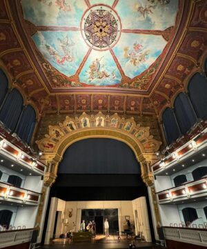 Pablo Rivero Instagram - Qué teatros tan bonitos tenemos en España!! Está siendo un privilegio poder visitar algunos,que ya conocía, y descubrir otros también impresionantes. El de las fotos es el Teatro Principal de Castellón, de la función de ayer de #laimportanciadellamarseernesto 😊 Os recuerdo que estaremos en Madrid en @elpavonteatro del 15 de mayo al 30 de junio!!!
@la_brutal