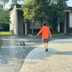Pakin Kunaanuwit Instagram - 😎🤪 🐕