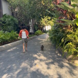 Pakin Kunaanuwit Instagram - 😎🤪 🐕