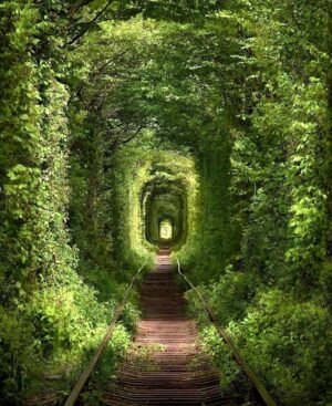 Pamela Golbin Instagram - #Thursday #Tunnel 🍃