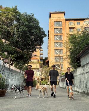 Paopetch Charoensook Instagram - Walk a dog 🐕 @iam247official #book1haven