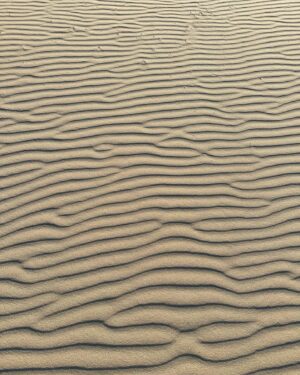 Park Eun-seok Instagram - 마지막날 - desert
.
.
Photo by cuz @simon_oh_kwon