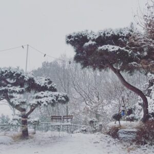 Park Eun-seok Instagram - 양평 고립.
#눈그만와
