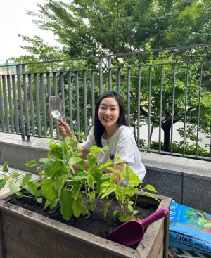 Park Jin-hee Instagram - 환경의 날을 맞아 나홀로 셀레브레이션🥳수국을 심었답니다❤️ 풍성하게 잘 자라서 내년에는 꽃과 함께 기념하자!
.
#환경의날#식물심기#함께해요