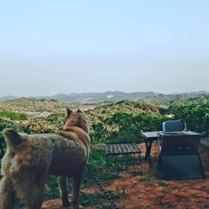 Park Si-hoo Instagram - #camping 
#hometown
Bong gu😁😘😘