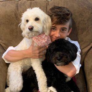 Parker Bates Instagram - Celebrating these two puppies on #NationalRescueDogDay! We love you Archie   Rico 🐾 #adoptdontshop