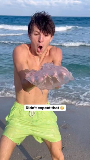 Parker Pannell Instagram - With bare hands is wild 🤯 
#ocean #jellyfish #sealife