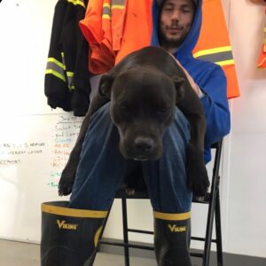 Parker Schnabel Instagram - wen days get ruff
and need a nap
i go and find
a frend with lap

this is my frend
he let me slep
upon his legs
in doggo heap

and wen I wak
is tim to play
we wil not do
no werk today

i ask him if
he want a beer
caus hapy hour
is cuming naer

or mayb he
jus want mor snugs
to buy mor gas
rol on the rug

the staf mite see
us sip the booze
ot whil they werk
wen we take snooze

if see us snooze
staff mak a fuss
caus lots to do ...jus not by us :)