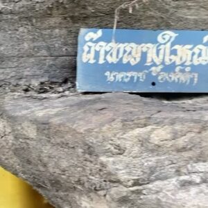 Passin Reungwoot Instagram - #วัดภูยอดรวย #ตามรอยนาคราช