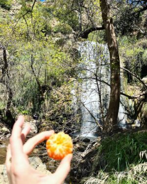 Paton Ashbrook Instagram - Covered in mud and flourishing.🌞🌊🌾
Quick trip, had to fit in my fave hike and a quick treat. Here are some nature sounds for you. 
💋 Make sure you’re grounding yourself amidst this chaotic time.
#groundingtechniques #hikingtrails #naturelover #somatichealing #selfcare #eclipseseason #mercuryretrograde #soundscapes