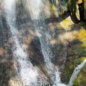 Paton Ashbrook Instagram - Covered in mud and flourishing.🌞🌊🌾
Quick trip, had to fit in my fave hike and a quick treat. Here are some nature sounds for you. 
💋 Make sure you’re grounding yourself amidst this chaotic time.
#groundingtechniques #hikingtrails #naturelover #somatichealing #selfcare #eclipseseason #mercuryretrograde #soundscapes