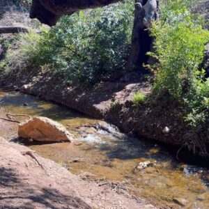 Paton Ashbrook Instagram - Covered in mud and flourishing.🌞🌊🌾
Quick trip, had to fit in my fave hike and a quick treat. Here are some nature sounds for you. 
💋 Make sure you’re grounding yourself amidst this chaotic time.
#groundingtechniques #hikingtrails #naturelover #somatichealing #selfcare #eclipseseason #mercuryretrograde #soundscapes
