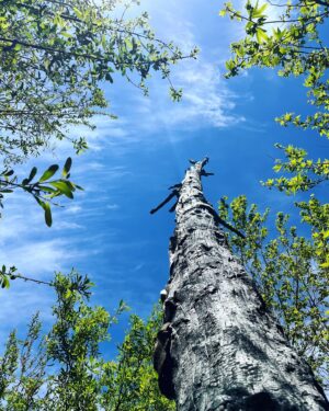 Paton Ashbrook Instagram - Covered in mud and flourishing.🌞🌊🌾
Quick trip, had to fit in my fave hike and a quick treat. Here are some nature sounds for you. 
💋 Make sure you’re grounding yourself amidst this chaotic time.
#groundingtechniques #hikingtrails #naturelover #somatichealing #selfcare #eclipseseason #mercuryretrograde #soundscapes